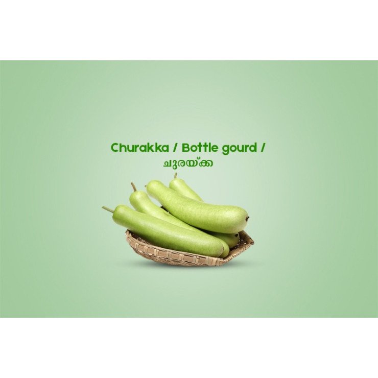 Churakka / Bottle gourd / ചുരയ്ക്ക  -600gm 